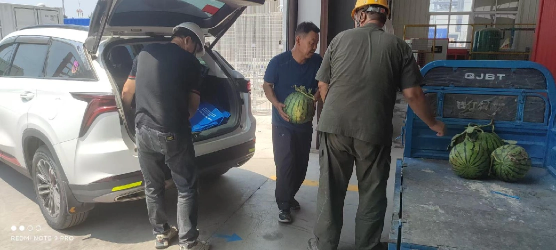 여름에 시원함 보내기, 극한 열기에 맞서기위한 노력